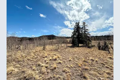 1238 Overland Circle, Jefferson, CO 80456 - Photo 9