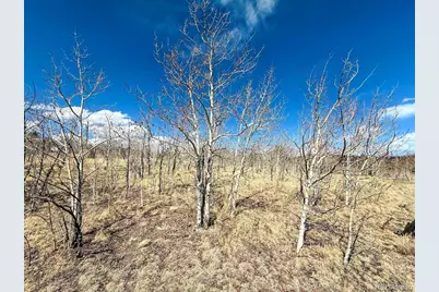 1238 Overland Circle, Jefferson, CO 80456 - Photo 19