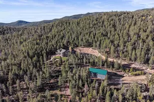 9646 Wallow Ct, Conifer, CO 80433 - Photo 49