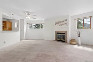 31819 Rocky Village Dr, Evergreen, CO 80439 - Photo 13