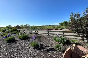 11674 Newton St, Westminster, CO 80031 - Photo 39