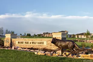 6474 Jennings Wy, Colorado Springs, CO 80924 - Photo 15