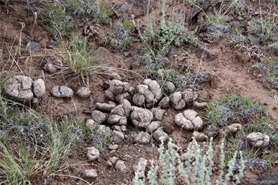 Lot 42 Monte Vista Drive, San Luis, CO 81152 - Photo 33