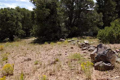 Lot 42 Monte Vista Drive, San Luis, CO 81152 - Photo 9