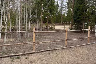 803 Cr-462, Grand Lake, CO 80447 - Photo 13