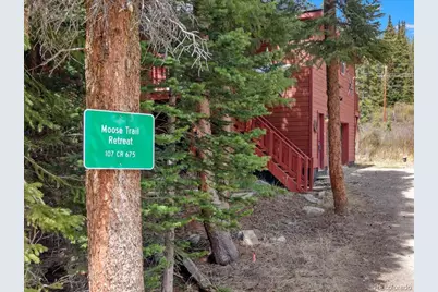 107 Scr 675, Breckenridge, CO 80424 - Photo 3