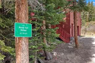 107 Scr 675, Breckenridge, CO 80424 - Photo 3