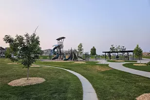 1123 Highview Dr, Erie, CO 80516 - Photo 43