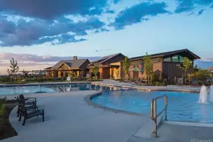 9111 Star Streak Cir, Littleton, CO 80125 - Photo 37