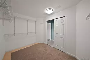 7057 Chestnut Hill St, Highlands Ranch, CO 80130 - Photo 33