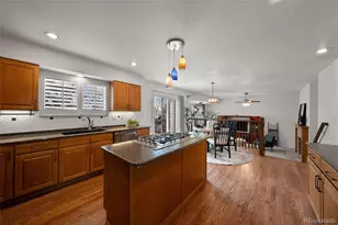 7057 Chestnut Hill St, Highlands Ranch, CO 80130 - Photo 13