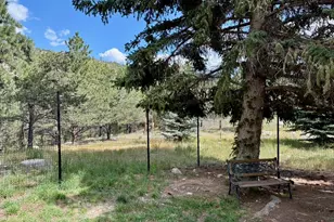 15265 Chimney Rock Rd, Nathrop, CO 81236 - Photo 13