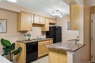 381 S Ames St, Denver, CO 80226 - Photo 9