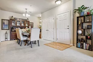 9370 Las Ramblas Ct, Parker, CO 80134 - Photo 11