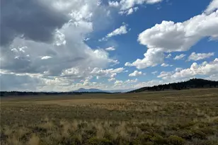 10055 Co Rd 53, Hartsel, CO 80449 - Photo 1