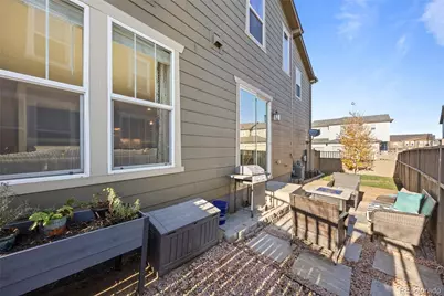 3534 Emily Street, Castle Rock, CO 80109 - Photo 17