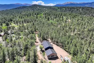 858 Forest Dr, Bailey, CO 80421 - Photo 35