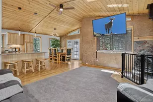 858 Forest Dr, Bailey, CO 80421 - Photo 7