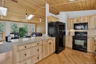 858 Forest Dr, Bailey, CO 80421 - Photo 9