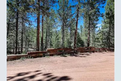 858 Forest Drive, Bailey, CO 80421 - Photo 29