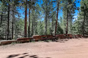 858 Forest Dr, Bailey, CO 80421 - Photo 29