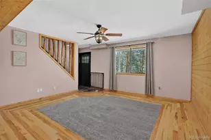 858 Forest Dr, Bailey, CO 80421 - Photo 19