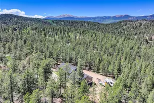 858 Forest Dr, Bailey, CO 80421 - Photo 41