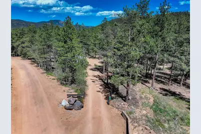 858 Forest Drive, Bailey, CO 80421 - Photo 43