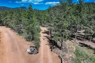 858 Forest Dr, Bailey, CO 80421 - Photo 43