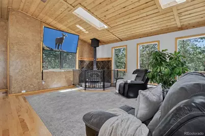 858 Forest Drive, Bailey, CO 80421 - Photo 5