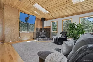858 Forest Dr, Bailey, CO 80421 - Photo 5