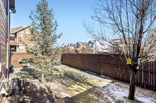 8197 E 53rd Dr, Denver, CO 80238 - Photo 5