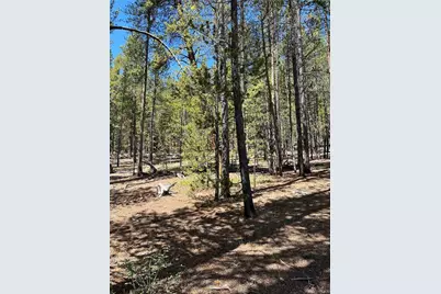 163 Co Rd 665, Fairplay, CO 80440 - Photo 3