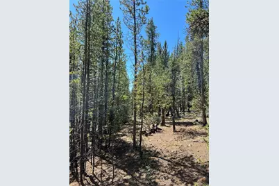 163 Co Rd 665, Fairplay, CO 80440 - Photo 7