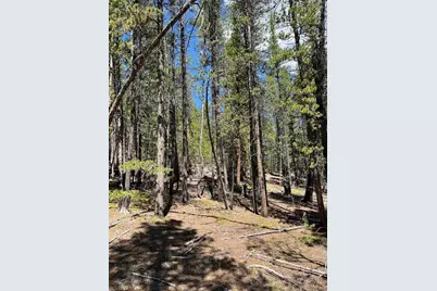163 Co Rd 665, Fairplay, CO 80440 - Photo 5