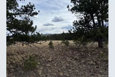 Hiawatha Circle, Hartsel, CO 80449 - Photo 1