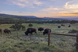 56001 Kk (1 Parcel) Rd, Molina, CO 81646 - Photo 43