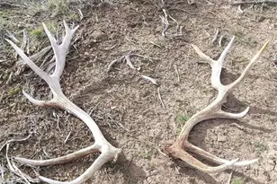 56001 Kk (1 Parcel) Rd, Molina, CO 81646 - Photo 39