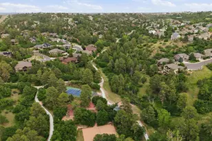 2212 Ridgetrail Dr, Castle Rock, CO 80104 - Photo 47