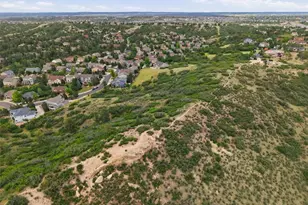2212 Ridgetrail Dr, Castle Rock, CO 80104 - Photo 49