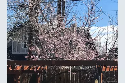 1058 Garfield Street, Denver, CO 80206 - Photo 49