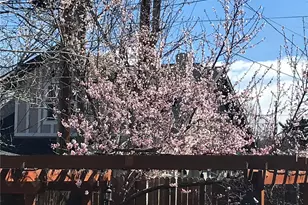 1058 Garfield St, Denver, CO 80206 - Photo 49