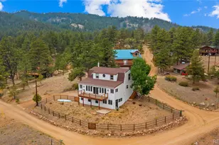 925 Midland Ct, Lake George, CO 80827 - Photo 39