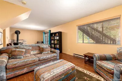 65 Silver Springs Road, Bailey, CO 80421 - Photo 19