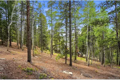 8450 London Lane, Conifer, CO 80433 - Photo 35