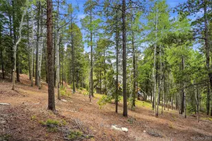 8450 London Ln, Conifer, CO 80433 - Photo 35