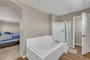 6809 Tiger Walk, Littleton, CO 80124 - Photo 19
