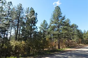 682 Copper Fox Pl, Larkspur, CO 80118 - Photo 1