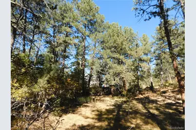 682 Copper Fox Place, Larkspur, CO 80118 - Photo 11