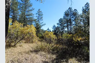 682 Copper Fox Place, Larkspur, CO 80118 - Photo 25